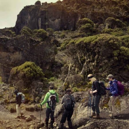 Mt Kilimanjaro Trek – Machame 8-Day Route