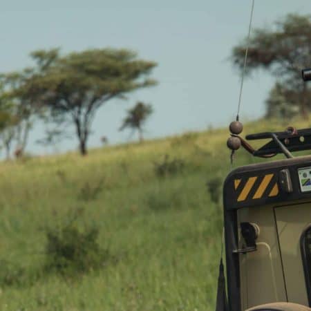 Tanzania Safari Experience