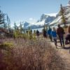 Discover the Canadian Rockies - Westbound