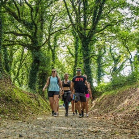 Walk the Camino de Santiago