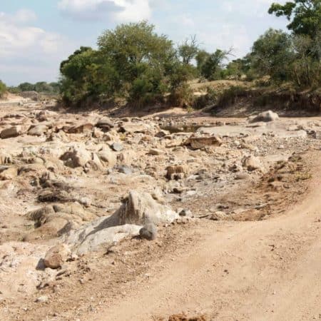 Explore Kruger National Park