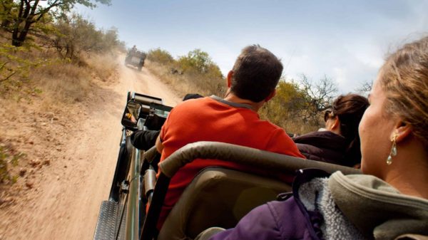 Explore Kruger & Victoria Falls