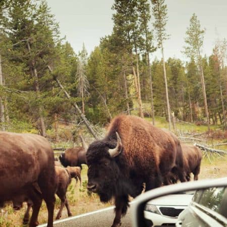 National Parks of the American West