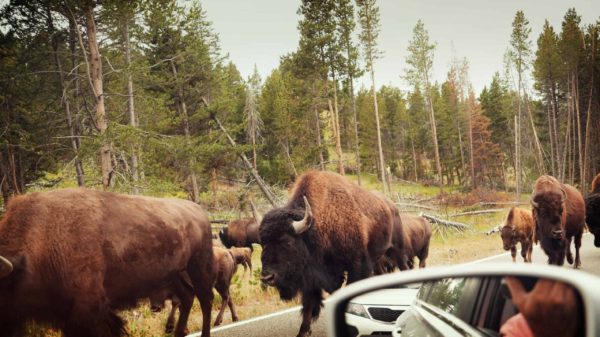 National Parks of the Northwest US