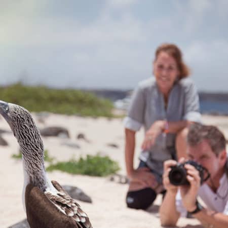 Galápagos – South Islands aboard the Xavier III