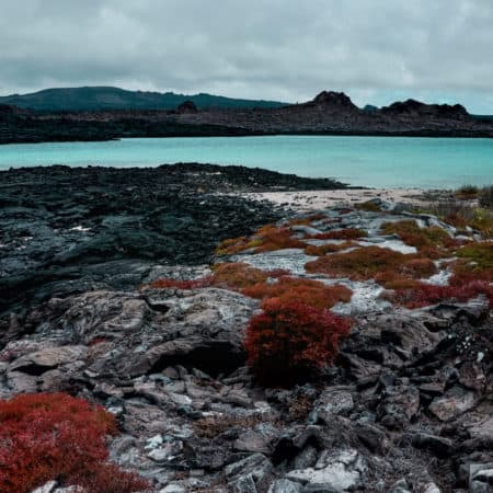 Galápagos – North, Central & South Islands aboard the Estrella