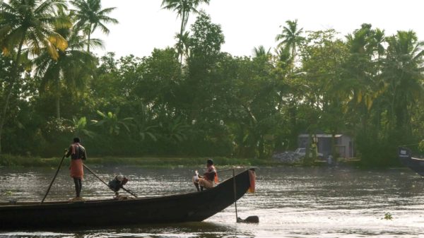 South India: Explore Kerala