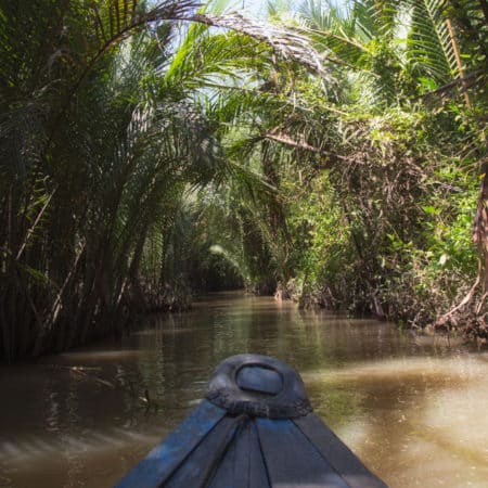 Mekong River Cruise Experience